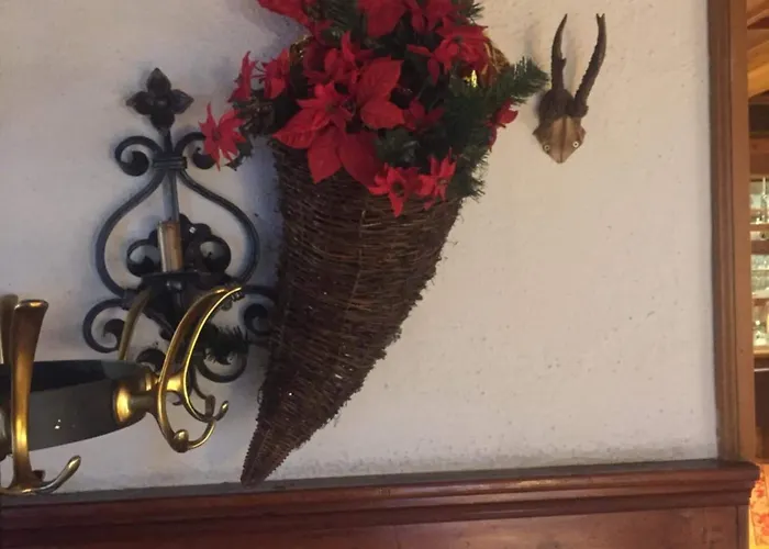 Otel Tutzinger Hof Tutzing