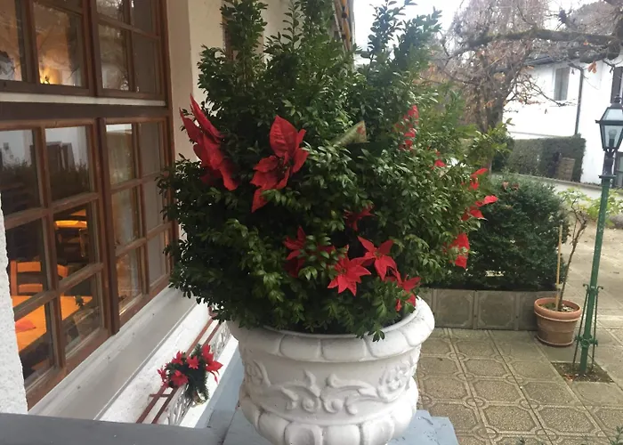 Tutzinger Hof Otel 3*