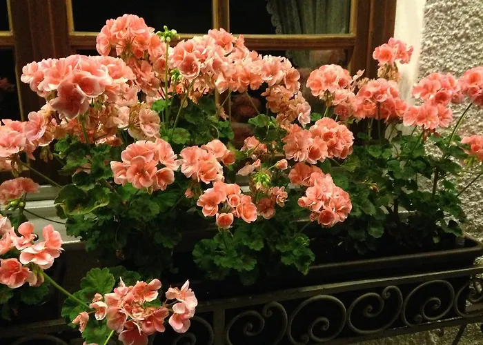 Otel Tutzinger Hof 3*