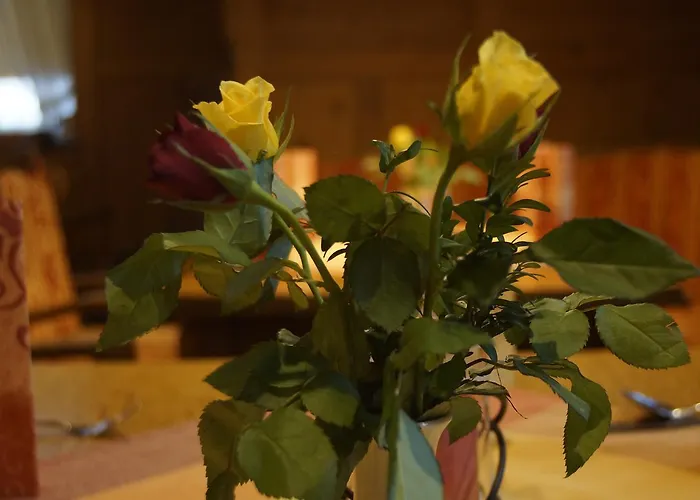 Tutzinger Hof Tutzing