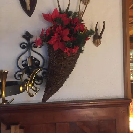 Отель Tutzinger Hof Тутцинг