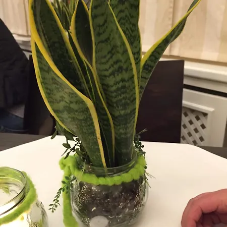 Tutzinger Hof 3* Тутцинг