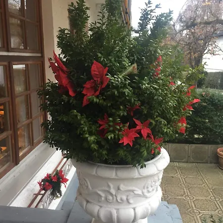 Tutzinger Hof Отель 3*