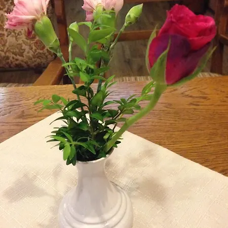 Tutzinger Hof Hotel 3*