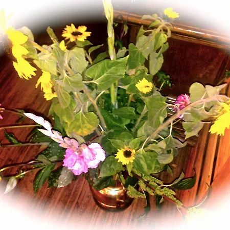 Tutzinger Hof Отель