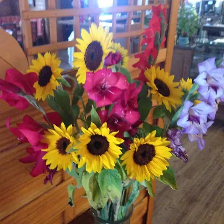 Tutzinger Hof Отель Тутцинг