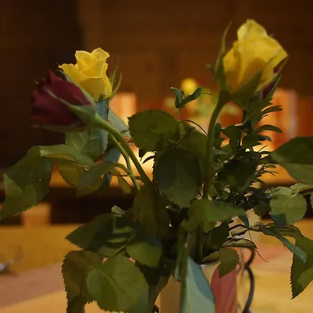 Tutzinger Hof Тутцинг